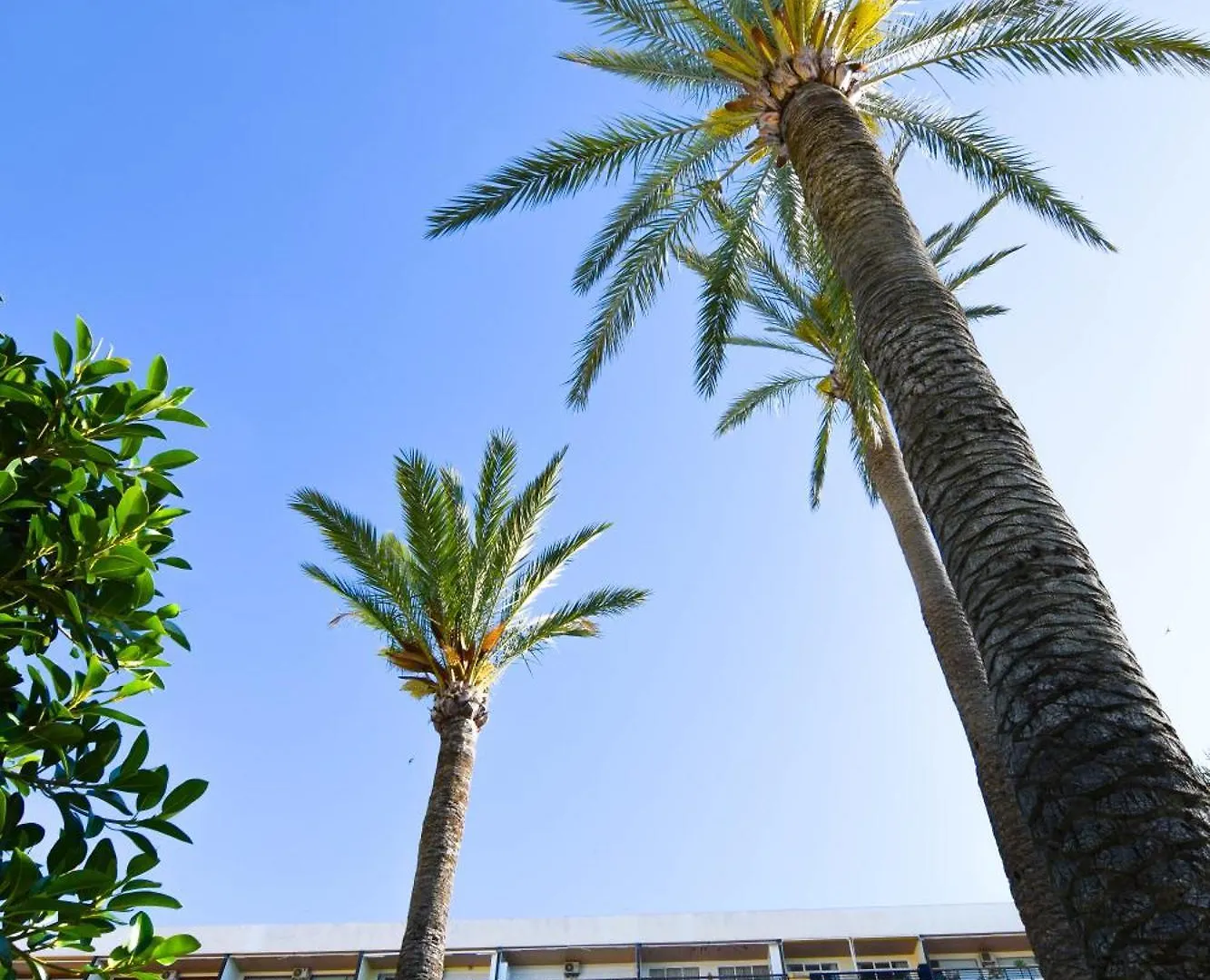 Letmalaga Santa Clara Apartment Torremolinos 0*,